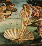 Meia Nascimento de Venus Coleção Obras de Arte 37/44